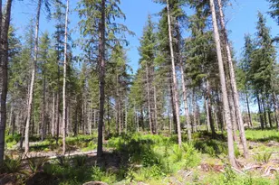 1515 Kirkpatrick Rd, Hoquiam, WA 98550 - Photo 29