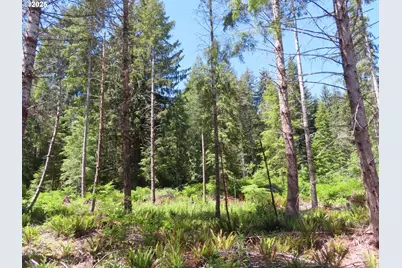 1515 Kirkpatrick Rd, Hoquiam, WA 98550 - Photo 19