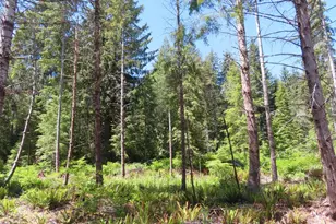 1515 Kirkpatrick Rd, Hoquiam, WA 98550 - Photo 19