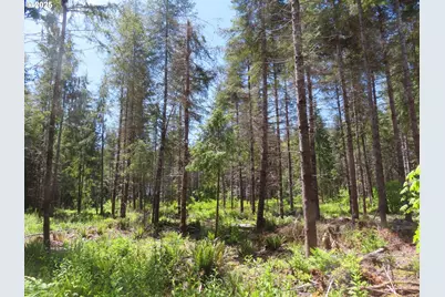 1515 Kirkpatrick Rd, Hoquiam, WA 98550 - Photo 7