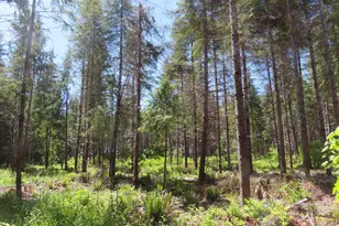 1515 Kirkpatrick Rd, Hoquiam, WA 98550 - Photo 7