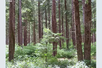 1515 Kirkpatrick Rd, Hoquiam, WA 98550 - Photo 5