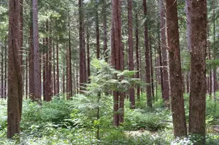 1515 Kirkpatrick Rd, Hoquiam, WA 98550 - Photo 5