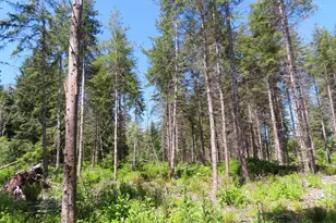 1515 Kirkpatrick Rd, Hoquiam, WA 98550 - Photo 33