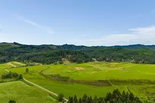 24218 Vaughn Rd, Veneta, OR 97487 - Photo 7