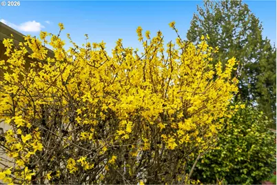 9405 NE 81st Ave, Vancouver, WA 98662 - Photo 41