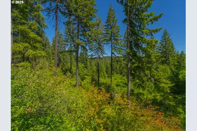 518 Canyon Rd, Lyle, WA 98635 - Photo 15