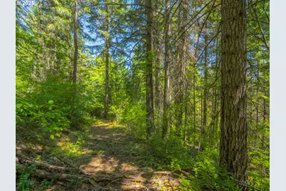 518 Canyon Rd, Lyle, WA 98635 - Photo 21