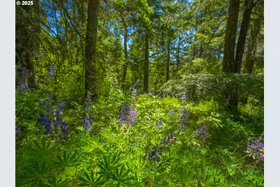 518 Canyon Rd, Lyle, WA 98635 - Photo 17