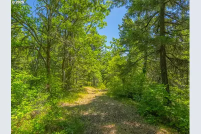 518 Canyon Rd, Lyle, WA 98635 - Photo 37