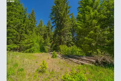 518 Canyon Rd, Lyle, WA 98635 - Photo 29