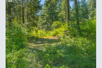 518 Canyon Rd, Lyle, WA 98635 - Photo 33