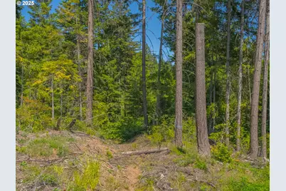 518 Canyon Rd, Lyle, WA 98635 - Photo 35