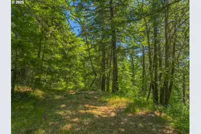 518 Canyon Rd, Lyle, WA 98635 - Photo 19