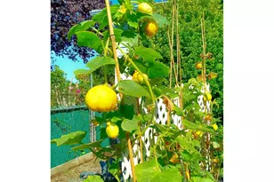 15961 Bayview Dr, Brookings, OR 97415 - Photo 39