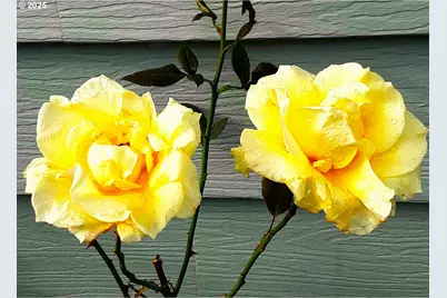 15961 Bay View Dr, Brookings, OR 97415 - Photo 37