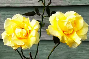 15961 Bayview Dr, Brookings, OR 97415 - Photo 37