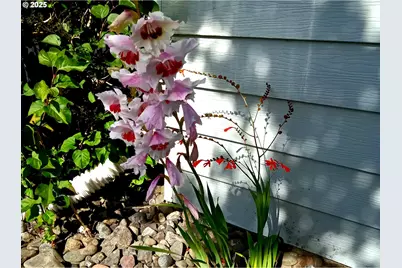 15961 Bay View Dr, Brookings, OR 97415 - Photo 35