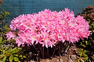 15961 Bayview Dr, Brookings, OR 97415 - Photo 41