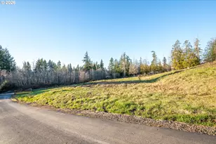 276 Alpenridge Rd, Kelso, WA 98626 - Photo 31