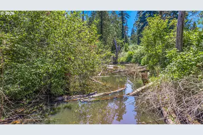 24620 SE Sunshine Valley Rd, Damascus, OR 97089 - Photo 23