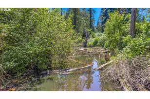 24620 SE Sunshine Valley Rd, Damascus, OR 97089 - Photo 23