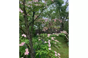 1506 SW Spring Garden St, Portland, OR 97219 - Photo 39