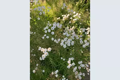 1506 SW Spring Garden St, Portland, OR 97219 - Photo 41