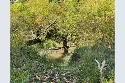 Siuslaw River Rd, Lorane, OR 97451 - Photo 7