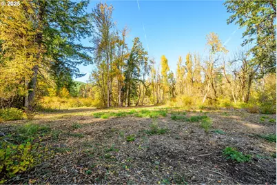Siuslaw River Rd, Lorane, OR 97451 - Photo 11