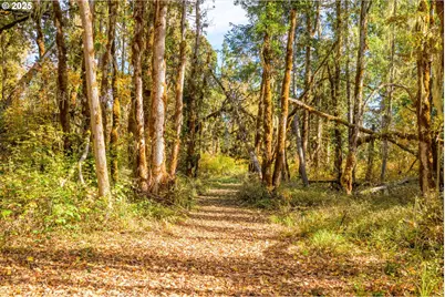 Siuslaw River Rd, Lorane, OR 97451 - Photo 15