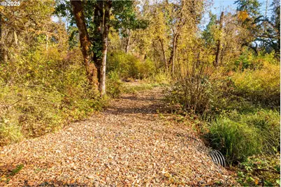 Siuslaw River Rd, Lorane, OR 97451 - Photo 13