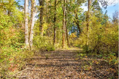 Siuslaw River Rd, Lorane, OR 97451 - Photo 17