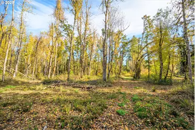 Siuslaw River Rd, Lorane, OR 97451 - Photo 9