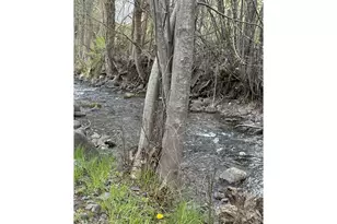 301 E 10th St, Joseph, OR 97846 - Photo 27