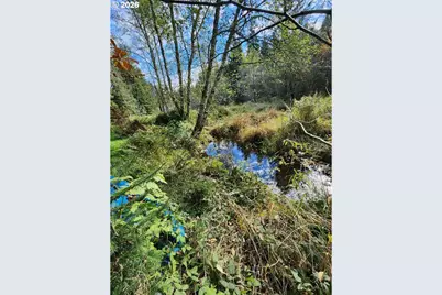 50010 SE Coalman Rd, Sandy, OR 97055 - Photo 47