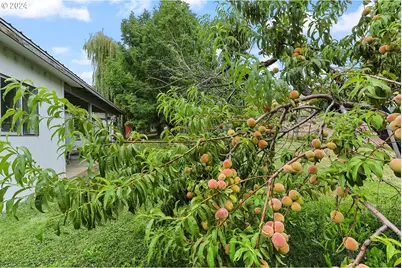 1206 N US Highway 197, Maupin, OR 97037 - Photo 23