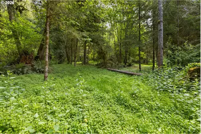 28582 S Salo Rd, Mulino, OR 97042 - Photo 31