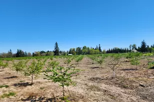 36501 Gilkey Rd, Scio, OR 97374 - Photo 1