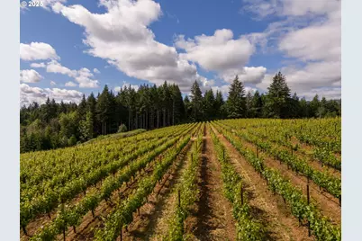 12000 NW Old Wagon Rd, Carlton, OR 97111 - Photo 7