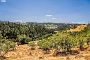 2300 Dry Creek Rd, Mosier, OR 97040 - Photo 39
