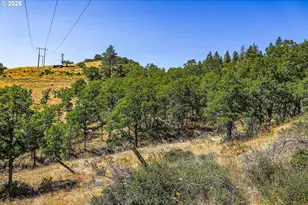 2300 Dry Creek Rd, Mosier, OR 97040 - Photo 29