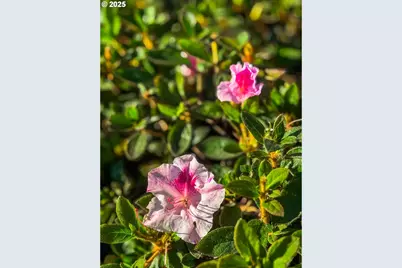 14029 SE Summerfield Loop, Happy Valley, OR 97086 - Photo 47