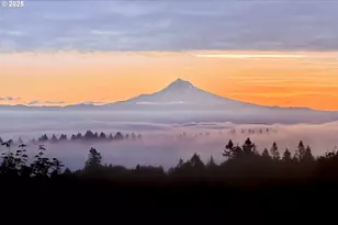 7910 NW Gales Ridge Ln, Portland, OR 97229 - Photo 5