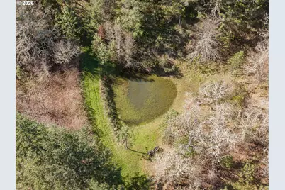 3849 Cole Rd, Oakland, OR 97462 - Photo 41