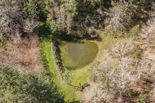 3849 Cole Rd, Oakland, OR 97462 - Photo 41