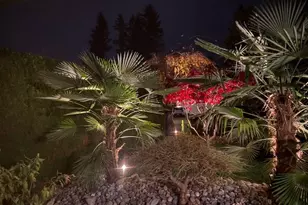 4504 NE 131st Ave, Vancouver, WA 98682 - Photo 33