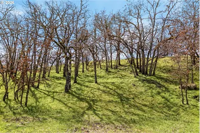10 Canyon Rd, Lyle, WA 98635 - Photo 29