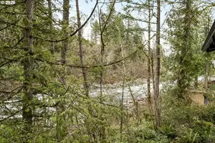 55475 SE White Cap Ln, Sandy, OR 97055 - Photo 43