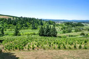 13671 SW Academy Way, Gaston, OR 97119 - Photo 17